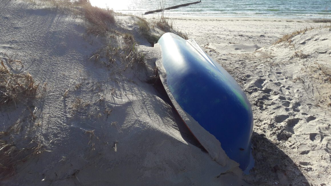 1. Kreativer Schreibkurs: Und plötzlich sieht man einen Delfin am Strand