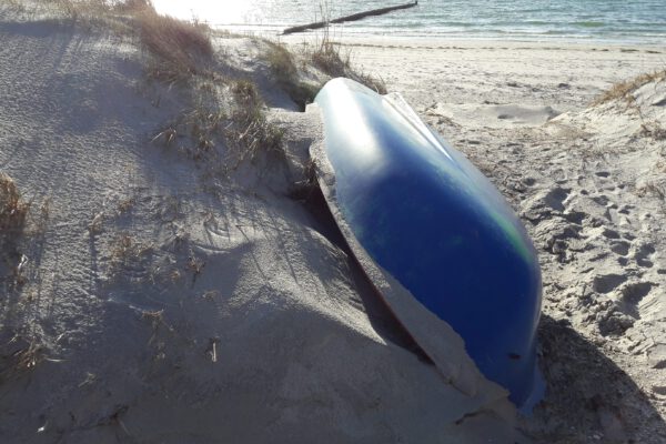 1. Kreativer Schreibkurs: Und plötzlich sieht man einen Delfin am Strand