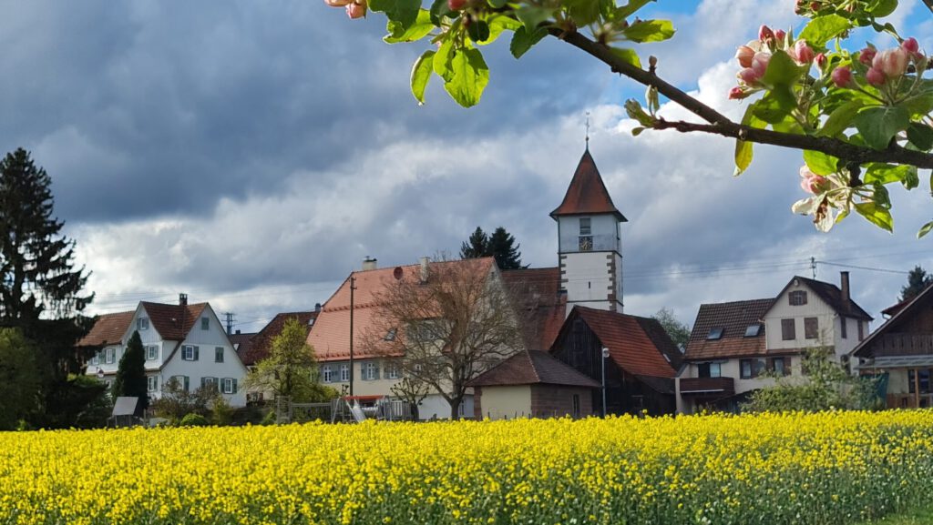 Frühling im Schwarzwald (Copyright: Cornelia Saxe)