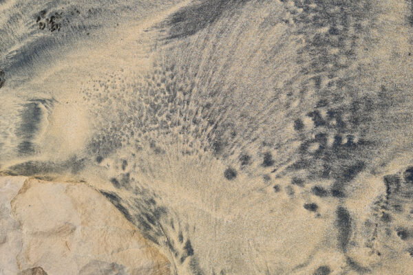 Bild des Monats Februar 2026