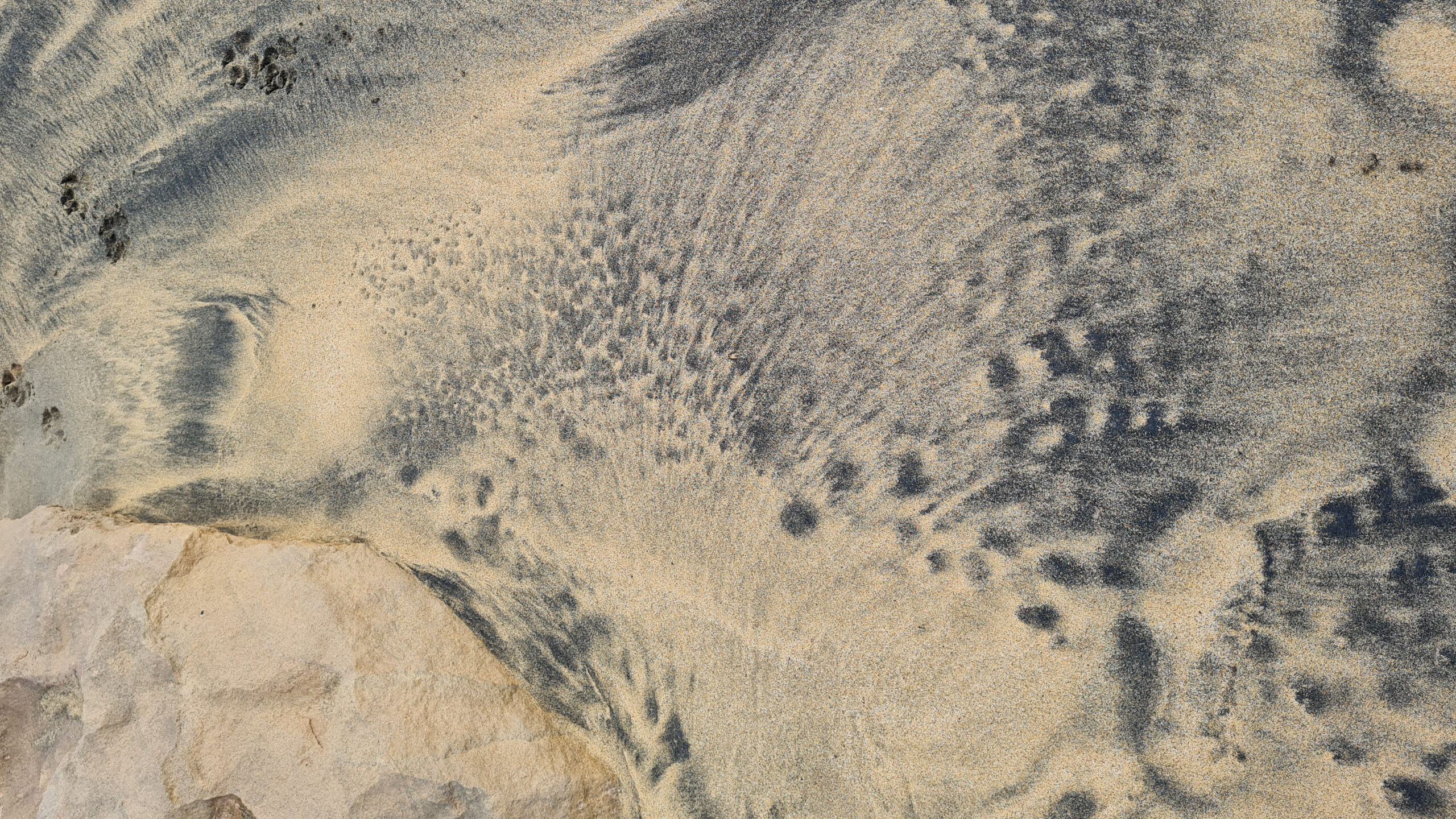 Geniale Skizze: Flügel und Fußabdruck. (Copyright: Cornelia Saxe)