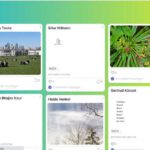 Vorstellungsrunde im digitalen Format: Achrosticha. sogen. Leistengedichte, und Fotos der Teilnehmer/innen