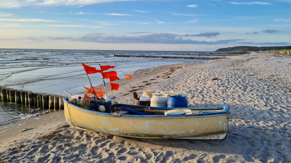 Frischer Fisch