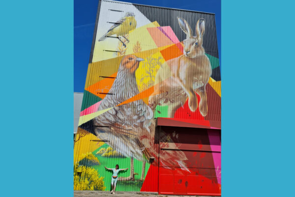 Bild des Monats Juni 2025