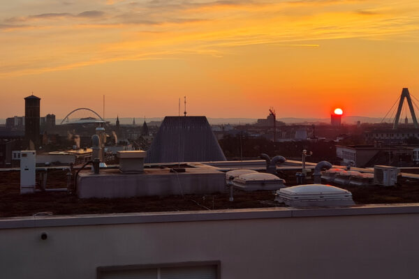 Bild des Monats März 2026